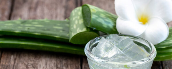 Gel d'aloe vera