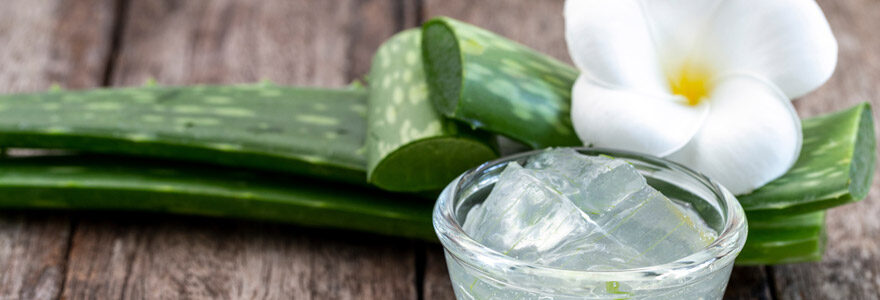 Gel d'aloe vera