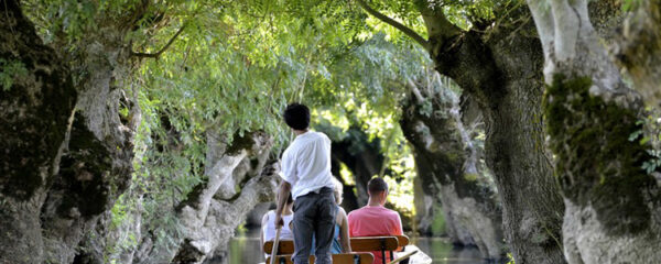 tour dans les marais en Vendée