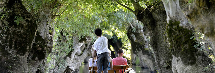 tour dans les marais en Vendée